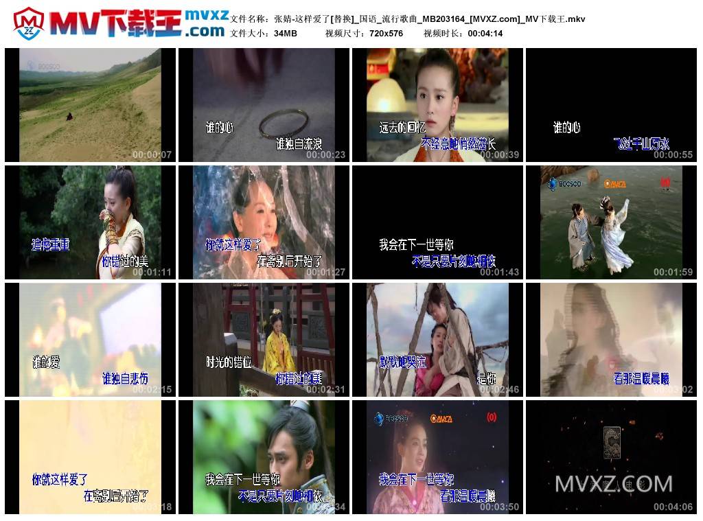 张婧-这样爱了[替换]_国语_流行歌曲_MB203164